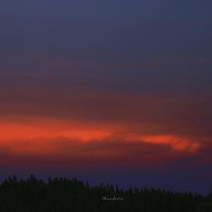 体育生爽擼又大又粗的雞巴电影
