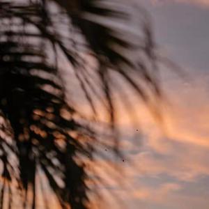 体育生爽擼又大又粗的雞巴电影
