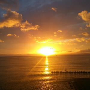 体育生爽擼又大又粗的雞巴电影
